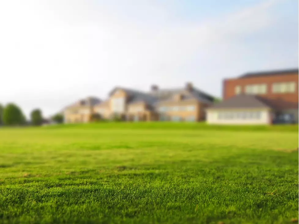 Commercial lawn maintenance contractors